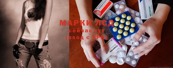 СК Алексин