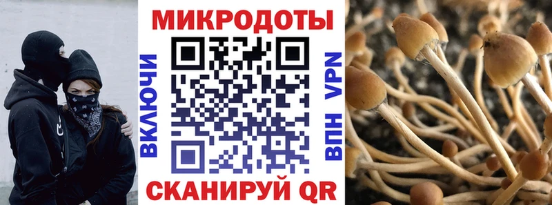 закладки ОМГ ОМГ зеркало Псилоцибиновые грибы Psilocybe Пудож