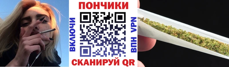 как найти Пудож Бошки марихуана ГИДРОПОН